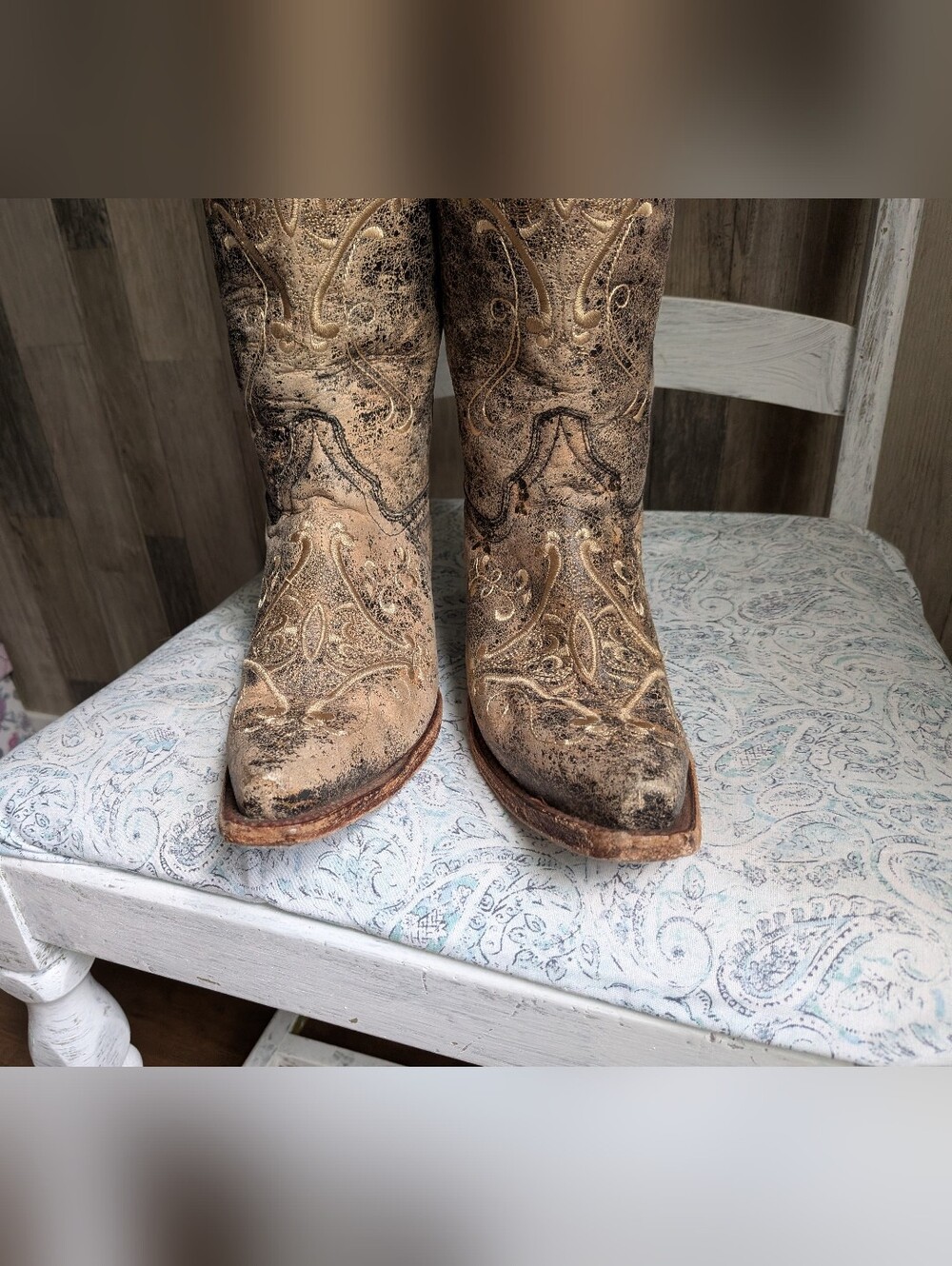 Circle G Boots - Picture 6 of 14